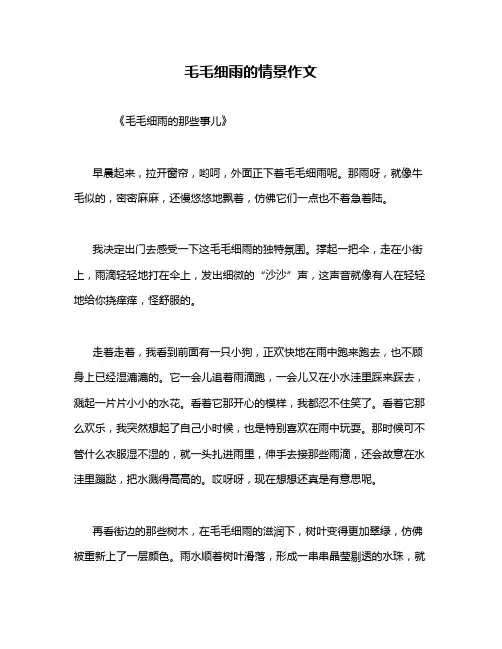 毛毛细雨的情景作文