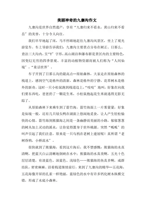 美丽神奇的九寨沟作文范文