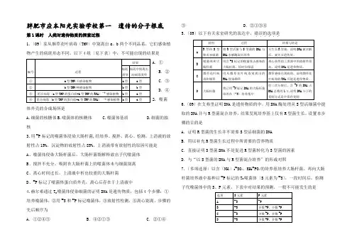 II部高三生物 《人类对遗传物质的探索过程》作业