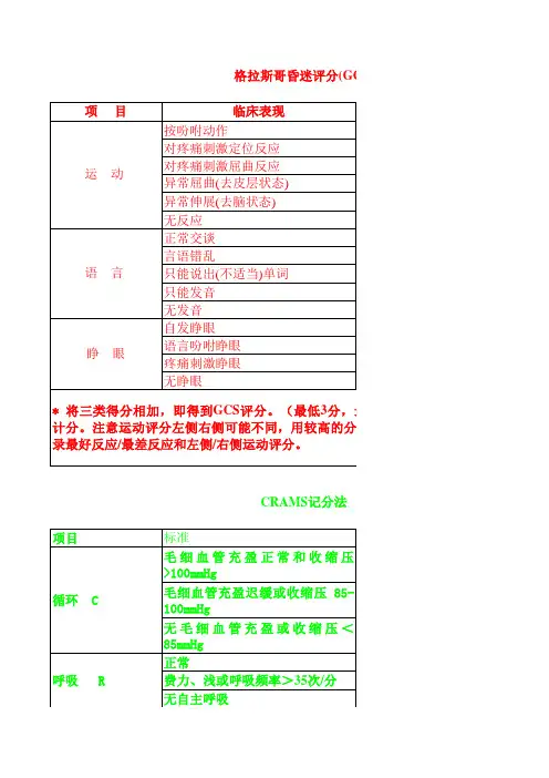 护理常用量表和评分