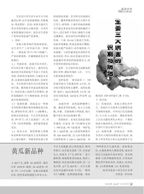 生姜三大病害的识别与防治