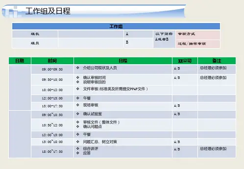 五大工具最详细资料-汽车主机厂-PCPA审核准备资料+计划