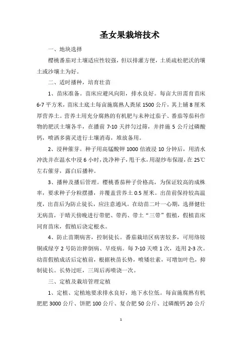 圣女果栽培技术