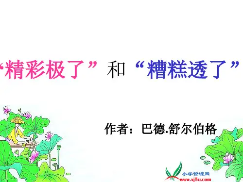 鲁教版四年级语文下册《“精彩极了”和“糟糕透了” 2》PPT课件