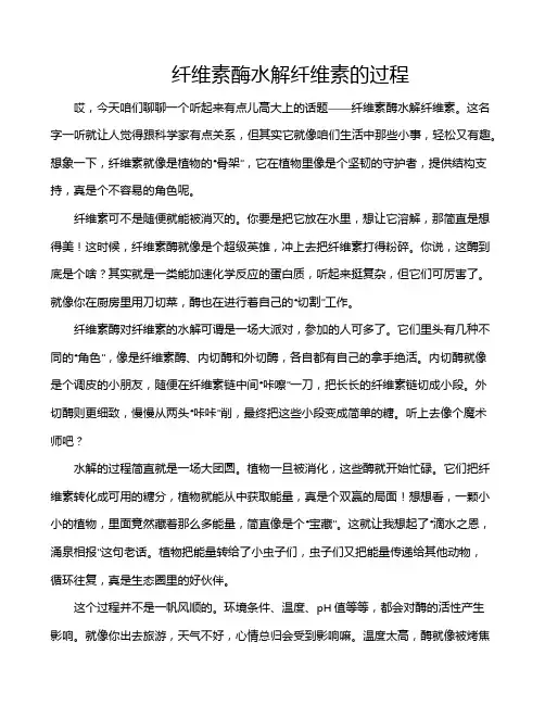 纤维素酶水解纤维素的过程