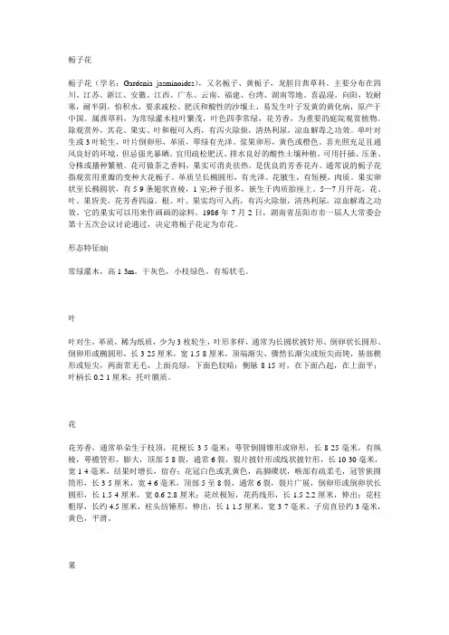 栀子花