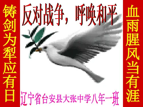 反对战争_呼唤和平PPT课件