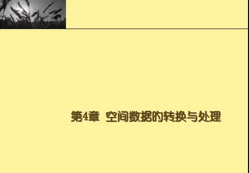 空间数据的转换和处置