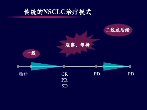 肿瘤维持治疗进展课堂PPT