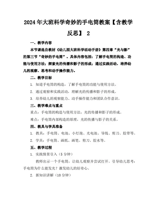 2024年大班科学奇妙的手电筒教案【含教学反思】 2