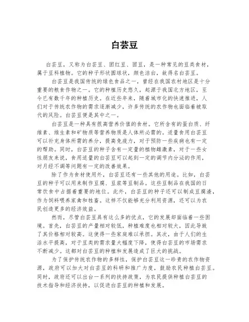 白芸豆  