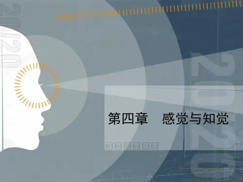 生理心理学第四章 感觉与知觉