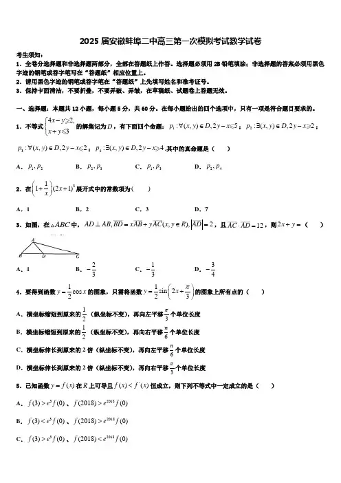 2025届安徽蚌埠二中高三第一次模拟考试数学试卷含解析