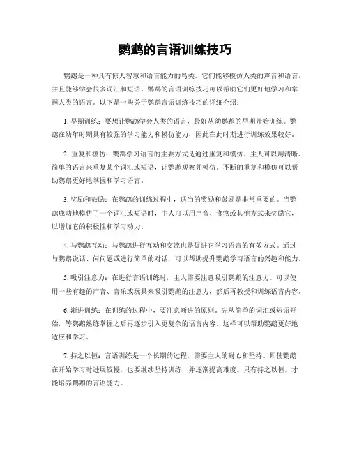 鹦鹉的言语训练技巧