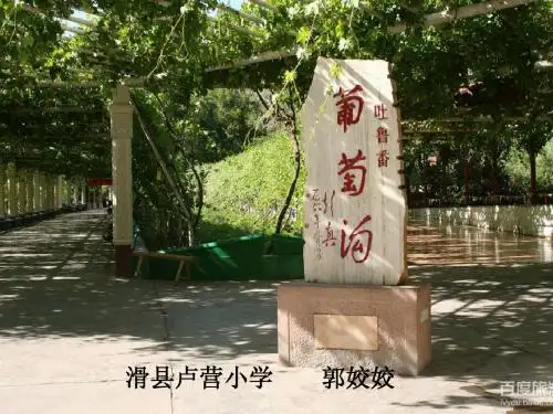小学二年级语文下册《葡萄沟》课件