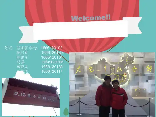 毛概_小岗村改革的发展