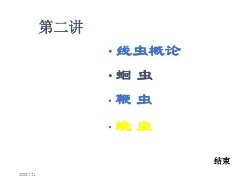 寄生虫第二讲蛔鞭蛲虫