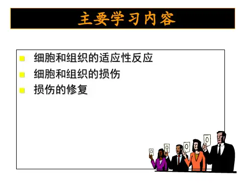最新细胞和组织的损伤与修复(14-3-5)PPT课件-PPT文档
