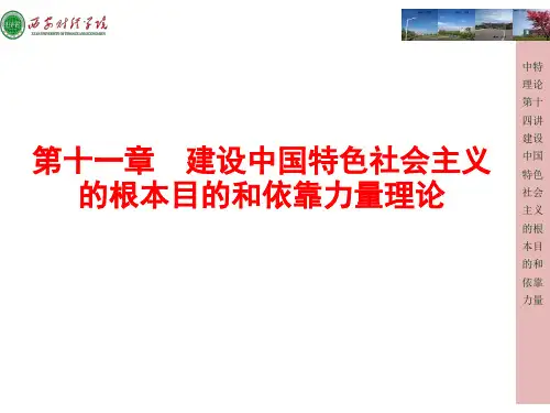 毛概第十一章