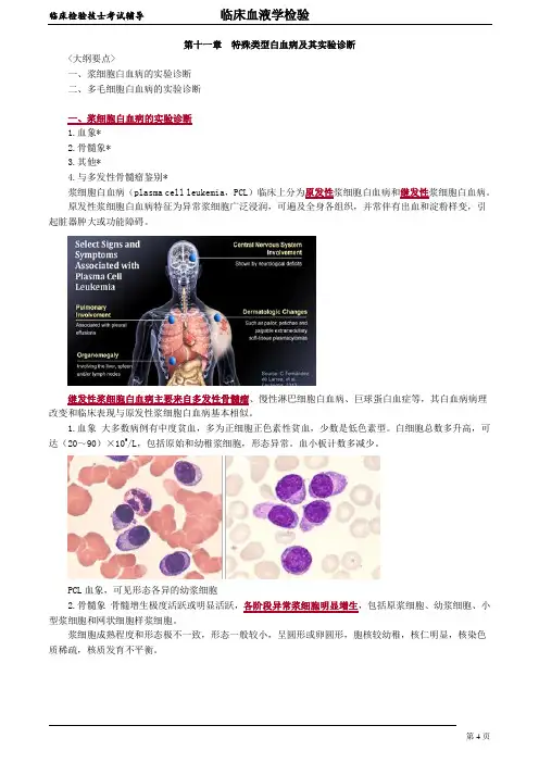 临床检验技士-临床血液学检验 讲义 11