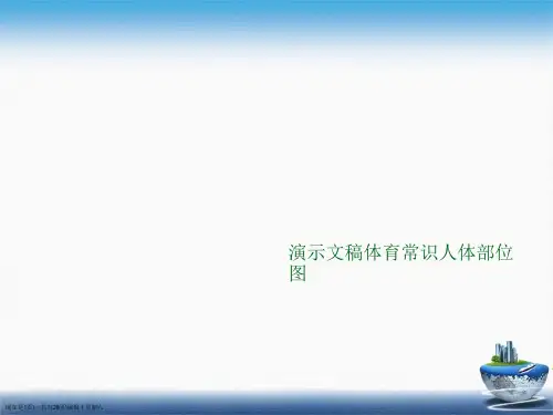 演示文稿体育常识人体部位图