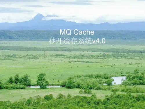 MQ Cache秒开缓存系统V4.0