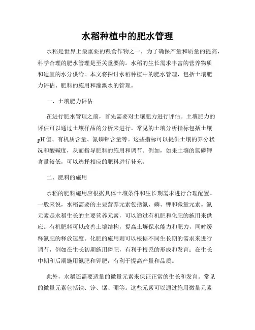 水稻种植中的肥水管理