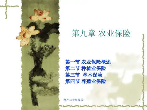 09章农业保险