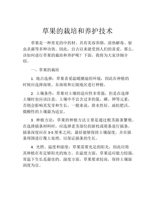 草果的栽培和养护技术