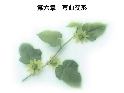 工程力学六 弯曲变形解析