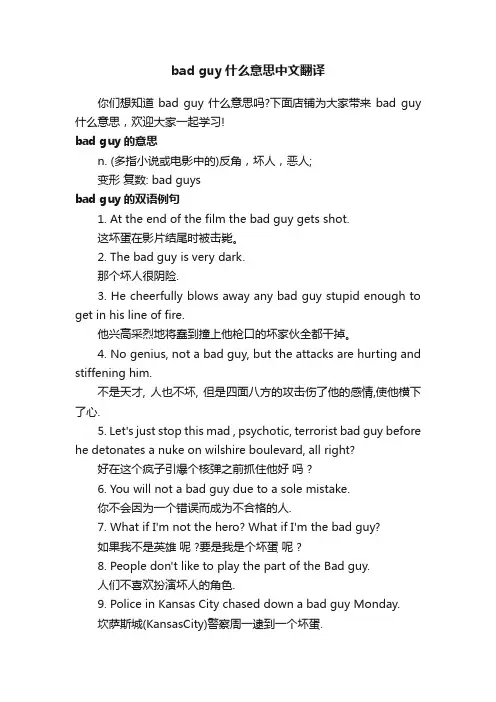 badguy什么意思中文翻译