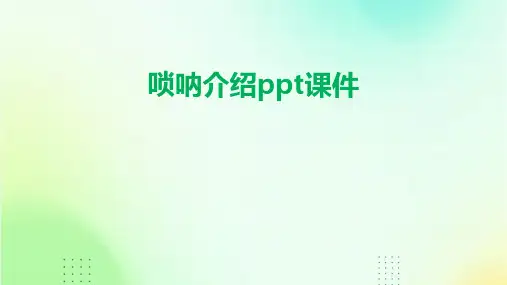唢呐介绍ppt课件