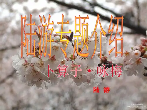陆游专题介绍ppt