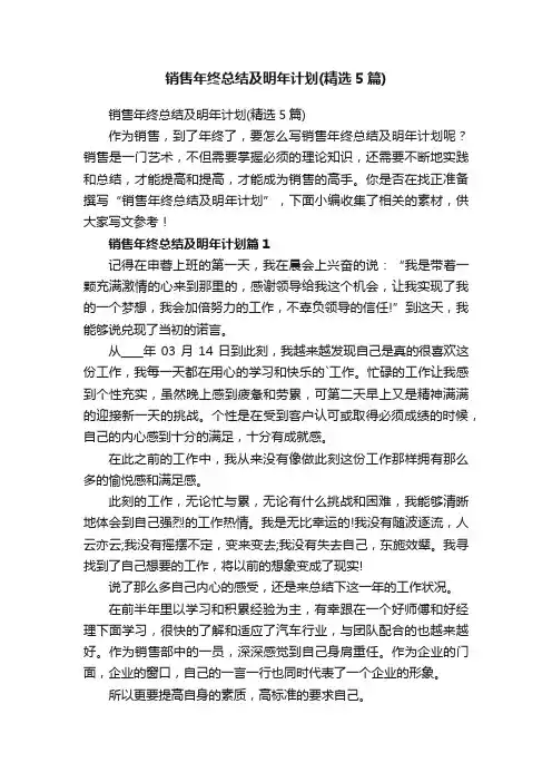 销售年终总结及明年计划（精选5篇）