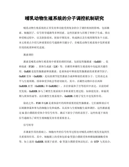 哺乳动物生殖系统的分子调控机制研究