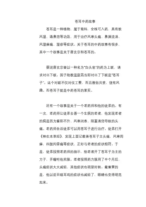 苍耳中药故事