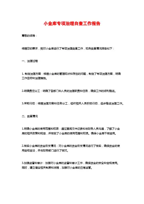小金库专项治理自查工作报告