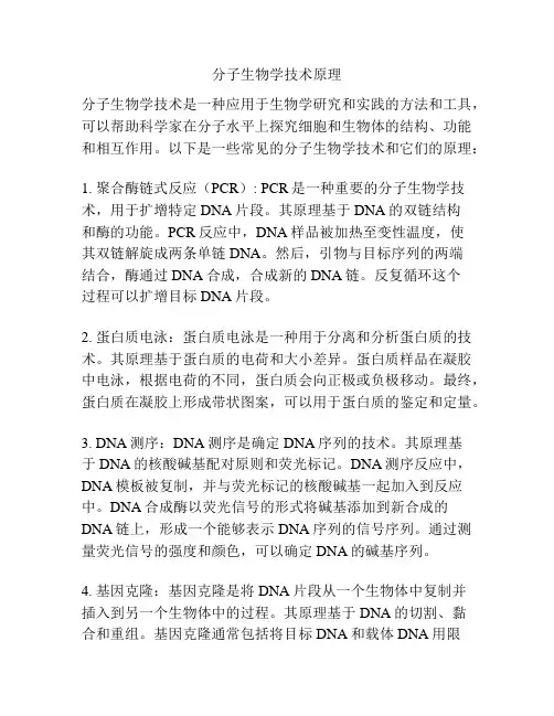 分子生物学技术原理