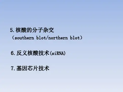 分子生物学硕士精品PPT课件