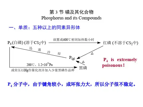2020高中化学磷及其化合物