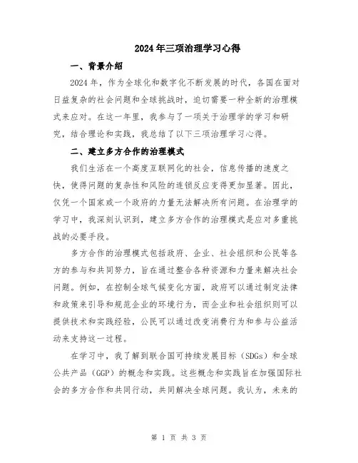 2024年三项治理学习心得