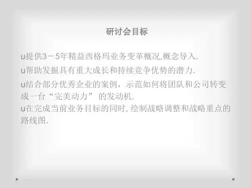 精选精益生产分析