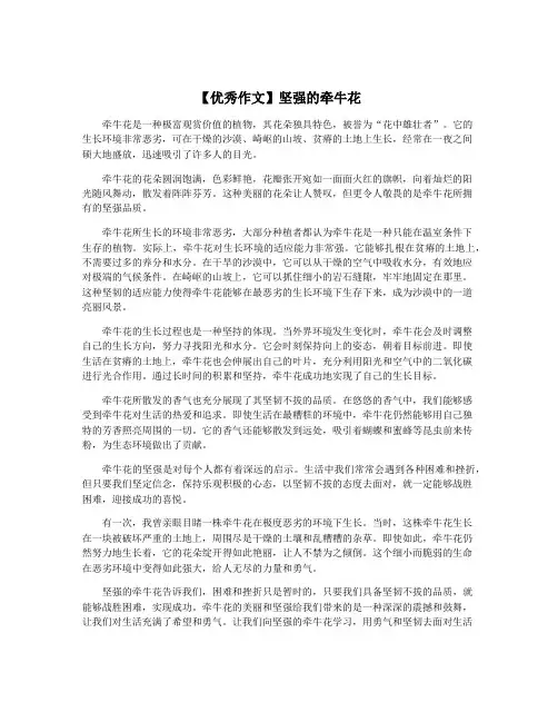 【优秀作文】坚强的牵牛花