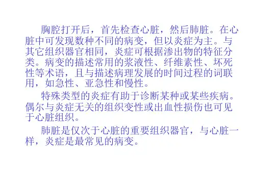 各种常见猪病解剖一_(3)