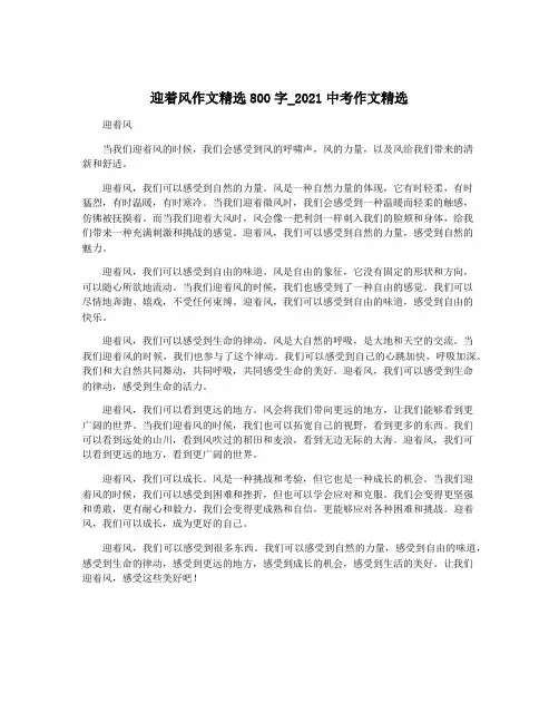 迎着风作文精选800字_2021中考作文精选