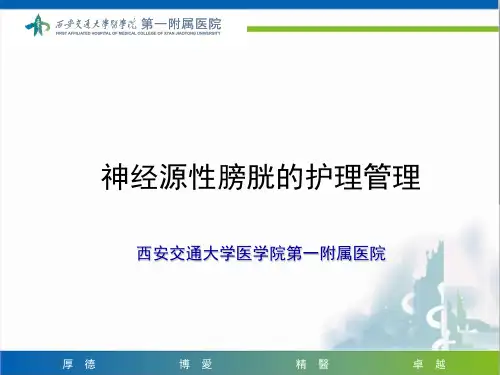 神经源性膀胱护理管理 PPT课件