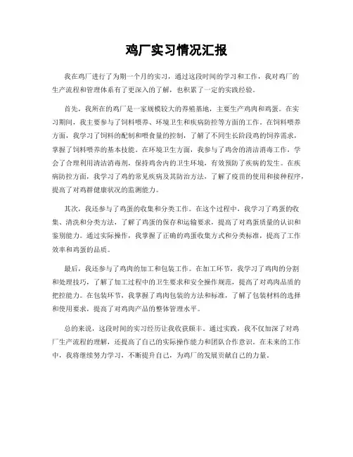 鸡厂实习情况汇报