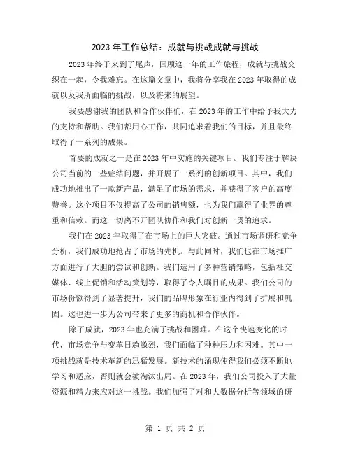 2023年工作总结：成就与挑战