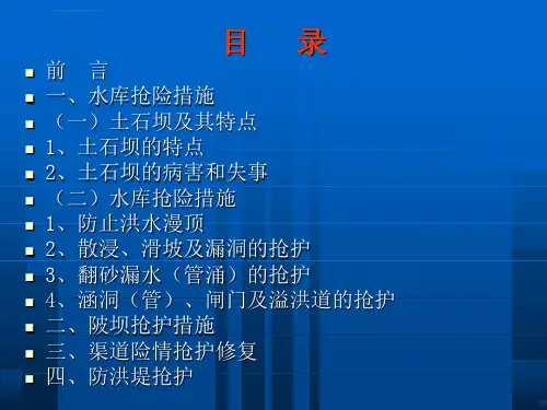 水利工程防汛抢险基本知识ppt课件