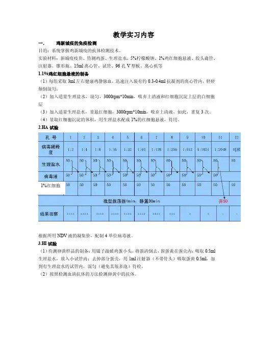 鸡新城疫的免疫检测程序